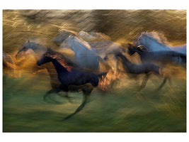 canvas-print-fiery-gallop-x