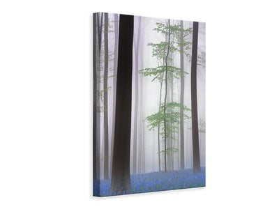 canvas-print-foggy-forest-x