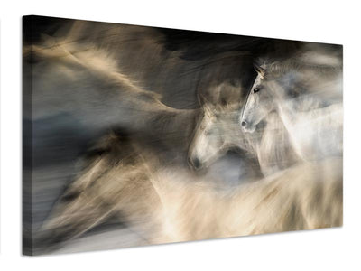 canvas-print-in-motion-x