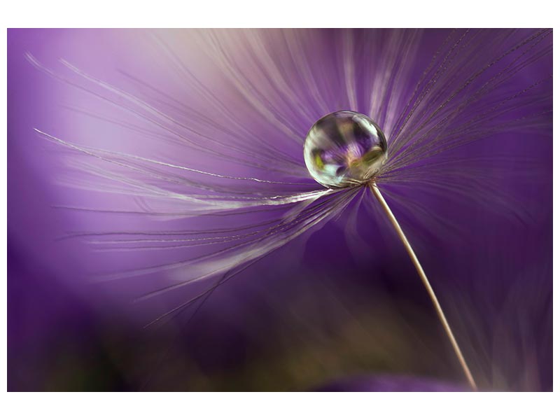 canvas-print-in-shades-of-purple-x