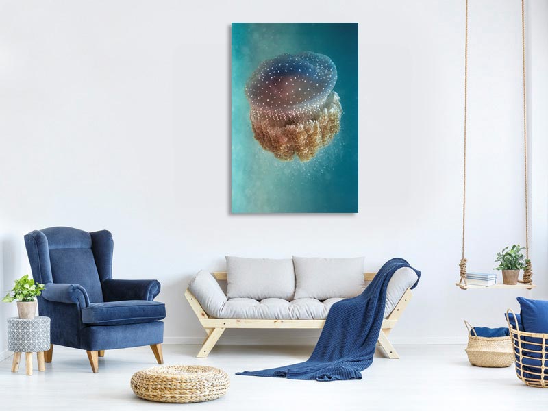 canvas-print-jellyfish-phylorhiza-punctata-x