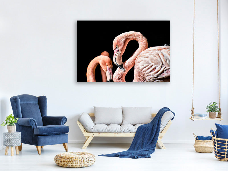 canvas-print-magnificent-flamingos