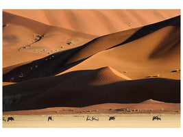 canvas-print-namib-dunes-x