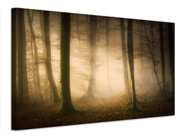 canvas-print-november-whispers-x