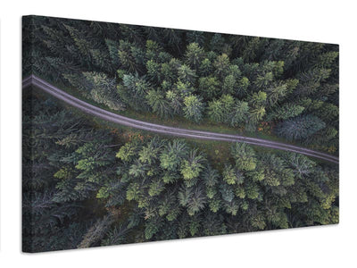 canvas-print-small-road-through-the-forest-x