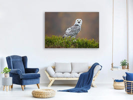 canvas-print-snowy-owl-x