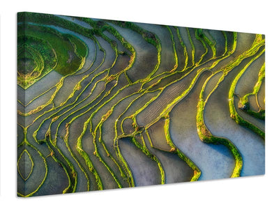 canvas-print-terraced-fields-x