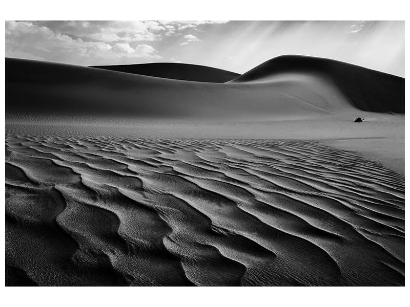 canvas-print-the-living-dunes-namibia-i-x