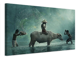 canvas-print-water-buffalo-x