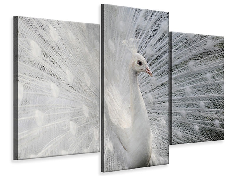 modern-3-piece-canvas-print-as-white-as-snow