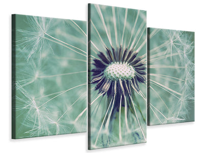 modern-3-piece-canvas-print-close-up-dandelion