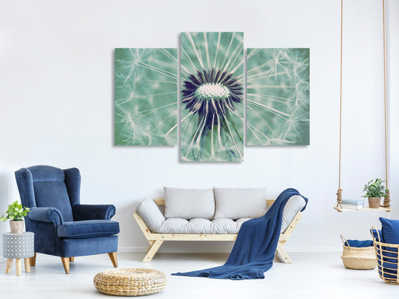 modern-3-piece-canvas-print-close-up-dandelion