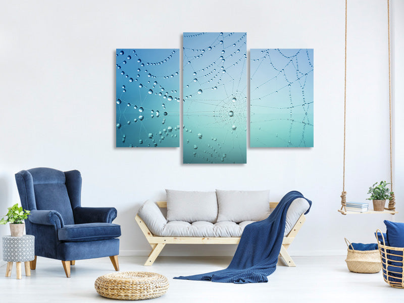 modern-3-piece-canvas-print-cobweb-in-morning-dew