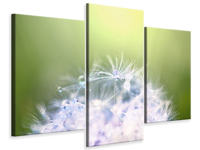 modern-3-piece-canvas-print-dandelion-xl-in-morning-dew