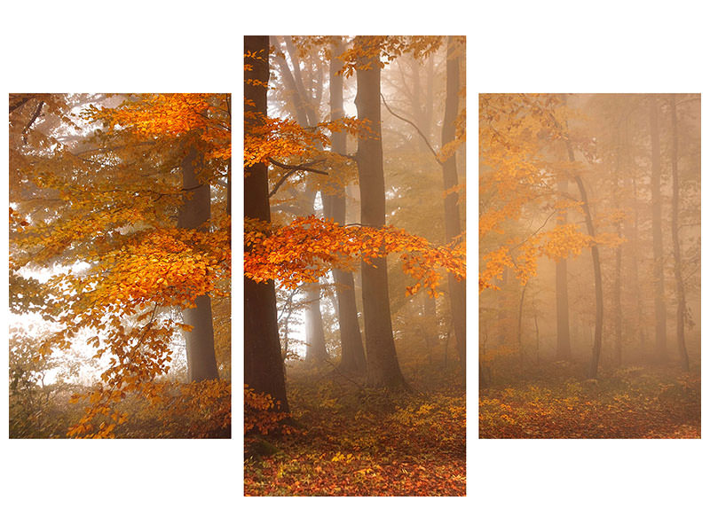 modern-3-piece-canvas-print-edge-of-the-woods