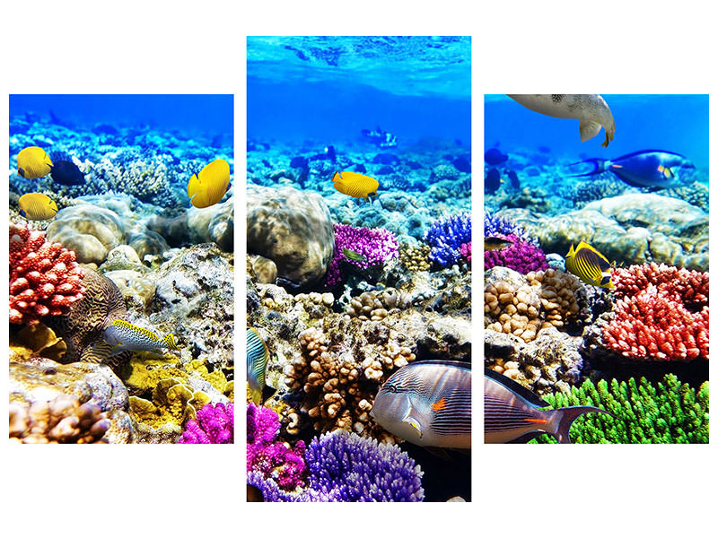 modern-3-piece-canvas-print-fish-aquarium