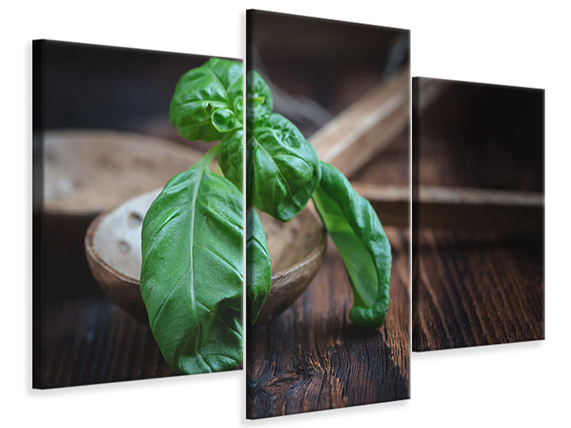 modern-3-piece-canvas-print-fresh-basil-xl