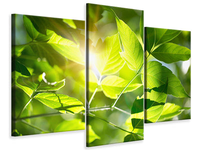 modern-3-piece-canvas-print-go-green