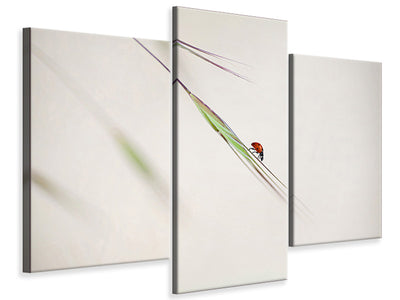 modern-3-piece-canvas-print-ladybug