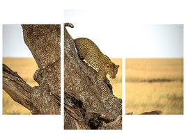 modern-3-piece-canvas-print-leopard-serengheti-tanzania