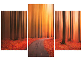 modern-3-piece-canvas-print-path-to-unknown