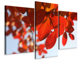 modern-3-piece-canvas-print-red-leaves-xl