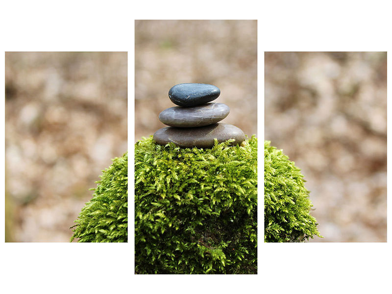 modern-3-piece-canvas-print-stone-pile-on-plant