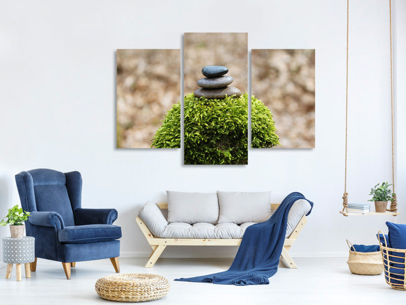 modern-3-piece-canvas-print-stone-pile-on-plant