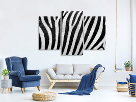 modern-3-piece-canvas-print-strip-of-the-zebra