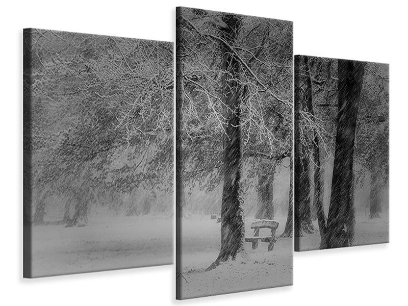 modern-3-piece-canvas-print-transformation