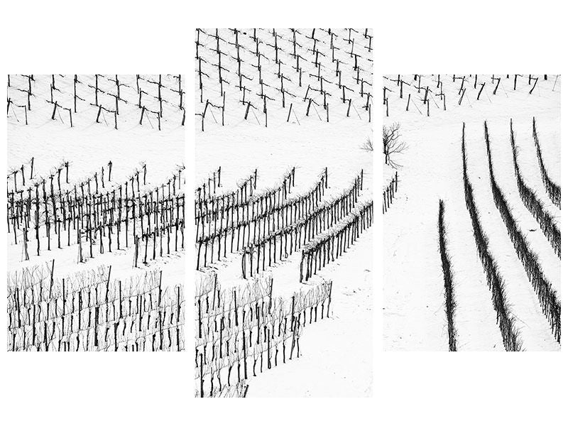 modern-3-piece-canvas-print-winter-lines