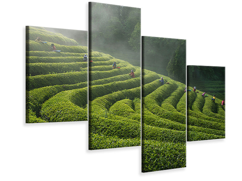modern-4-piece-canvas-print-green-tea-farm