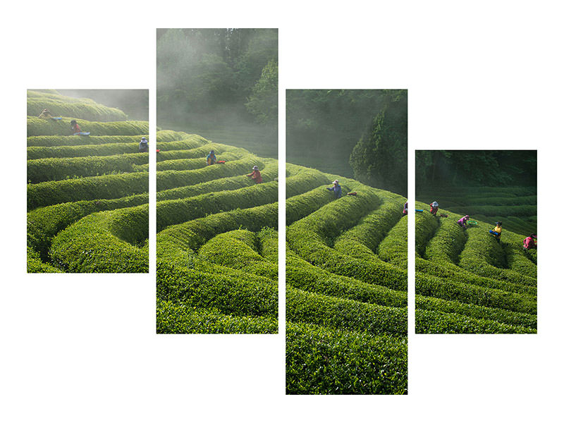 modern-4-piece-canvas-print-green-tea-farm