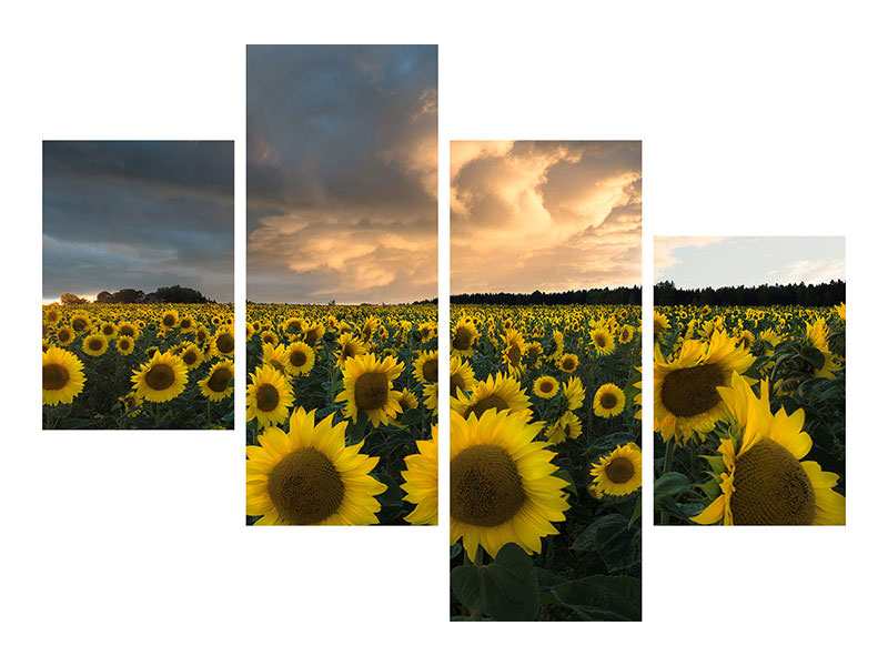 modern-4-piece-canvas-print-sunflowers-in-sweden
