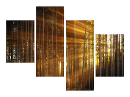 modern-4-piece-canvas-print-trees-in-sunbeams