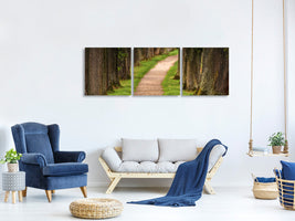 panoramic-3-piece-canvas-print-a-path-in-the-forest