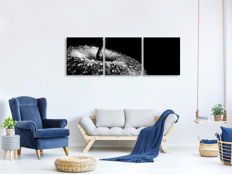 panoramic-3-piece-canvas-print-appel