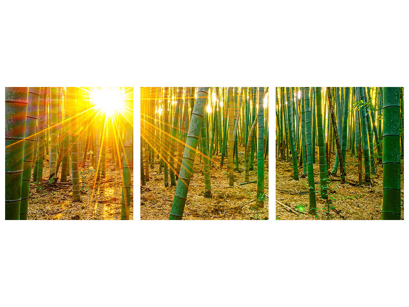 panoramic-3-piece-canvas-print-bamboos