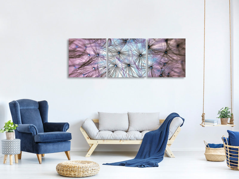 panoramic-3-piece-canvas-print-dandelion-in-the-light-play