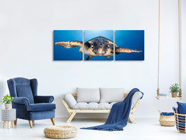 panoramic-3-piece-canvas-print-face-to-face-with-a-hawksbill-sea-turtle