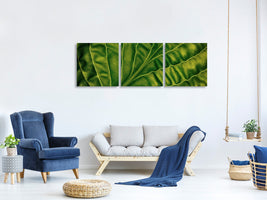panoramic-3-piece-canvas-print-leaf-of-a-hosta