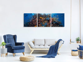 panoramic-3-piece-canvas-print-life-explosion