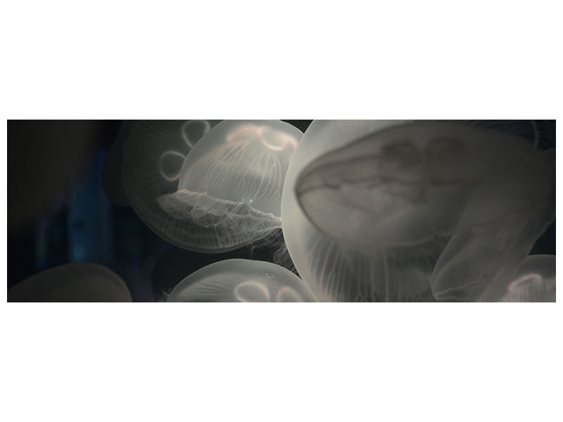 panoramic-canvas-print-eerie-jellyfish