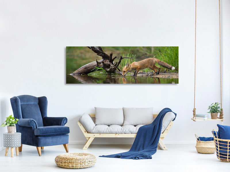 panoramic-canvas-print-red-fox-ii