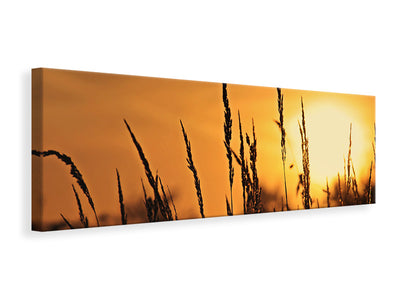 panoramic-canvas-print-sunrise-on-the-field
