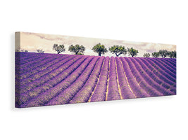 panoramic-canvas-print-the-lavender-field-ii