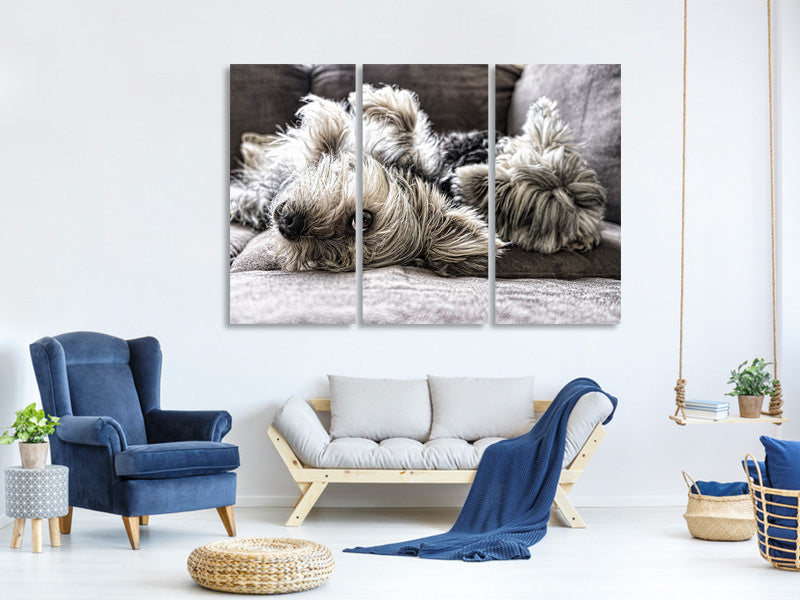 3-piece-canvas-print-2-cute-dogs