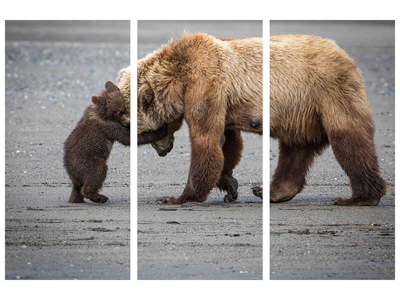3-piece-canvas-print-a-little-bear-hug