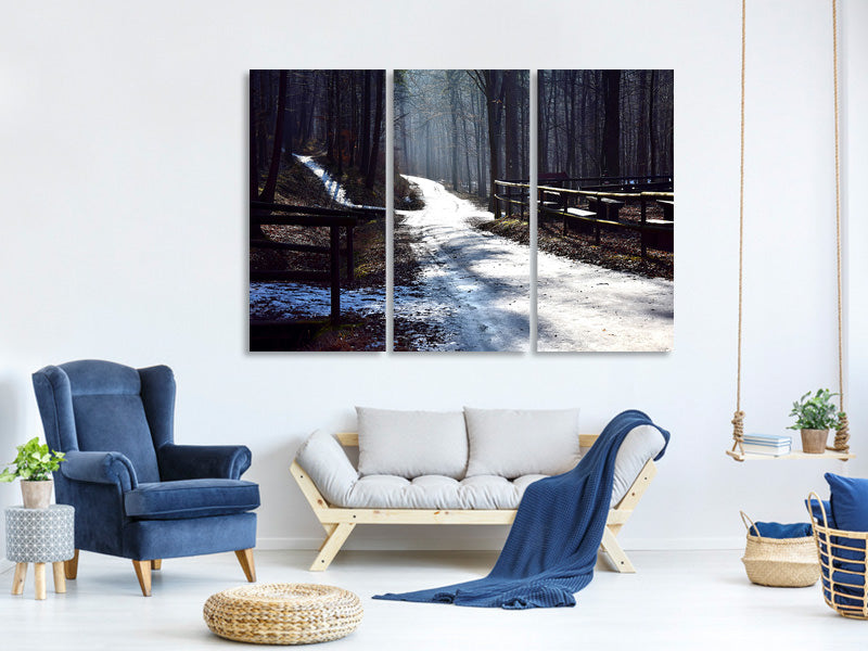 3-piece-canvas-print-a-path-in-the-snow