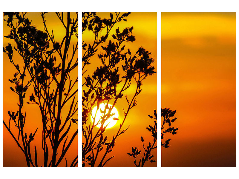 3-piece-canvas-print-a-shrub-in-the-sunset